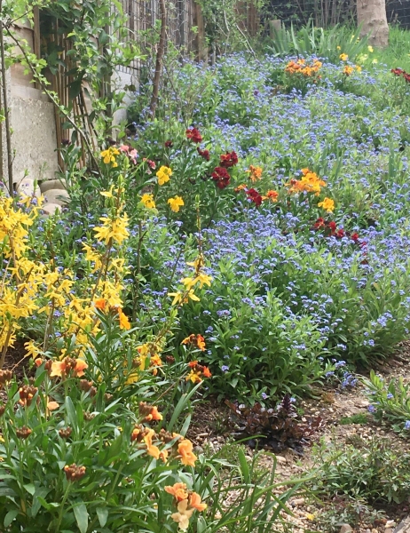 Cannock Mill Cohousing Gardens